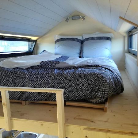 Hotel Tiny House Sur La Presqu'Ile Sauvage Lanmodez Esterno foto