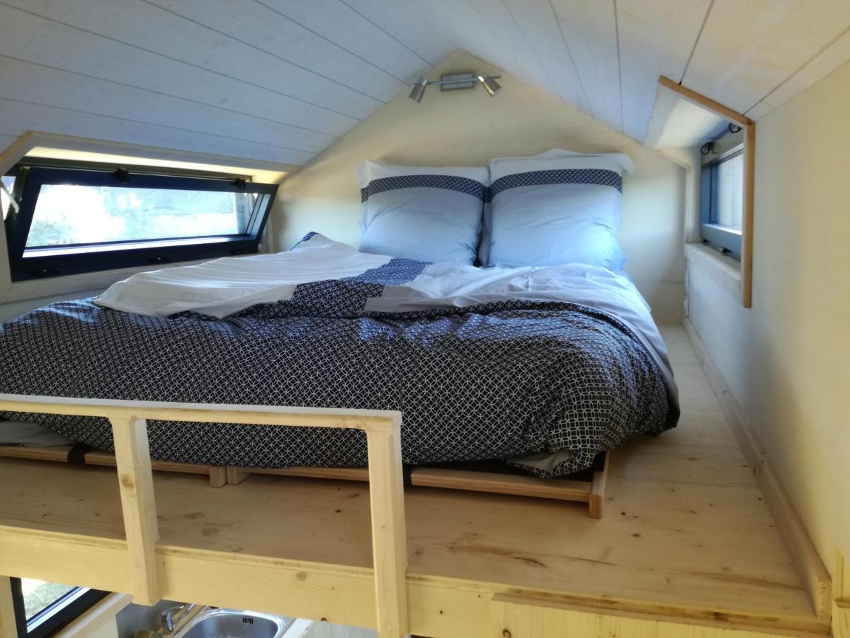 Hotel Tiny House Sur La Presqu'Ile Sauvage Lanmodez Esterno foto